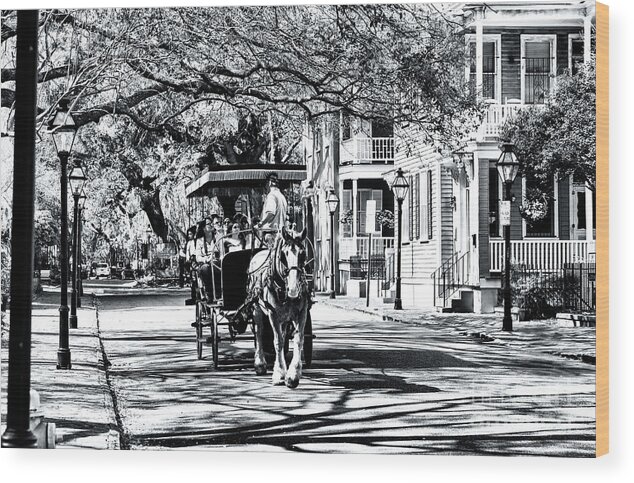 Classic Carriage Ride In Charleston Wood Print featuring the photograph Classic Carriage Ride Through Charleston South Carolina by John Rizzuto
