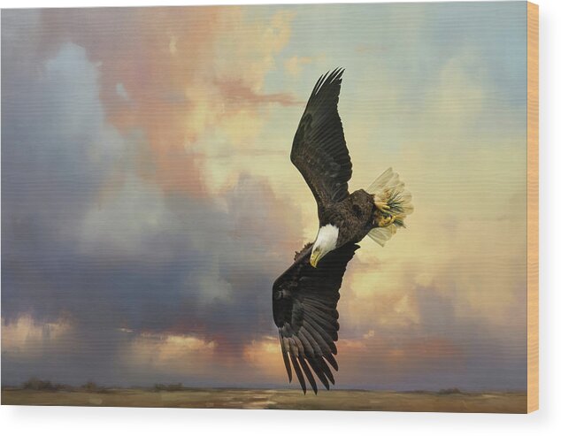 Bald Eagle Wood Print featuring the photograph Coming Down To Earth by Jai Johnson