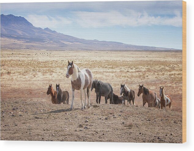 Wild Horses Wood Print featuring the photograph Coming Home by Doug Sims