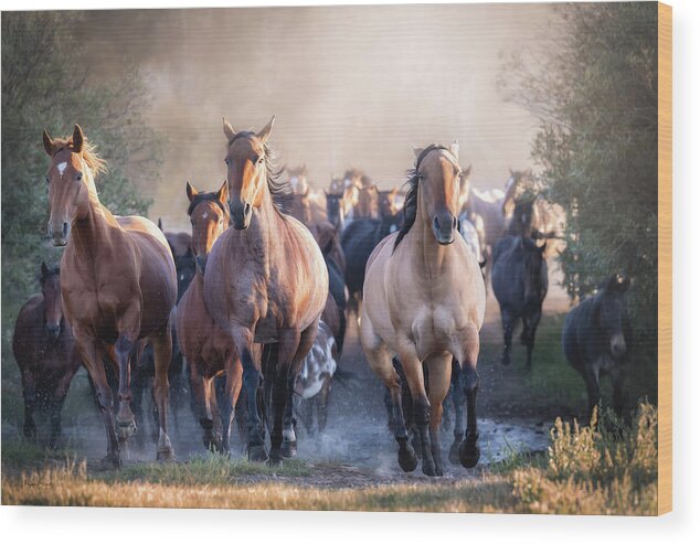 Ranch Wood Print featuring the photograph Coming On Strong by Phyllis Burchett