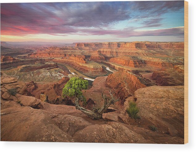 Moab Wood Print featuring the photograph Dead Horse Point by Whit Richardson