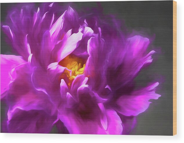 Peony Wood Print featuring the photograph Drama Queen by Connie Carr