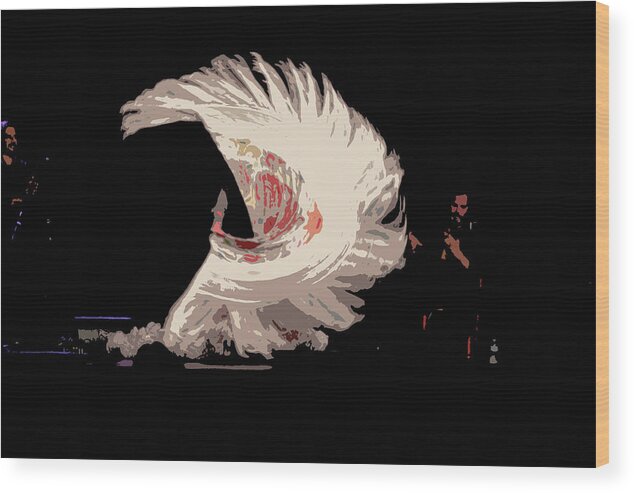 Andalucia Wood Print featuring the photograph Flamenco abstract by Gary Browne