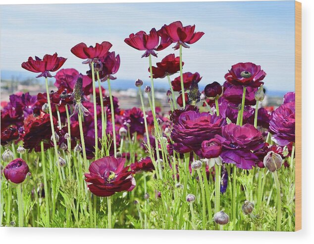 Flower Wood Print featuring the photograph Purple Flowers by Bnte Creations