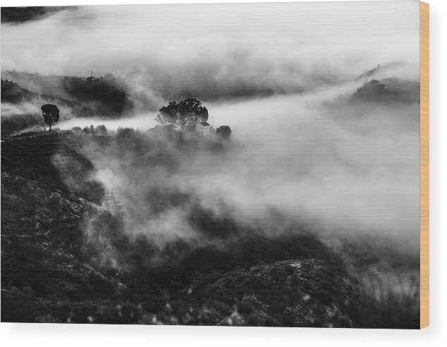 Sea Fog Wood Print featuring the photograph Fog by Gary Browne