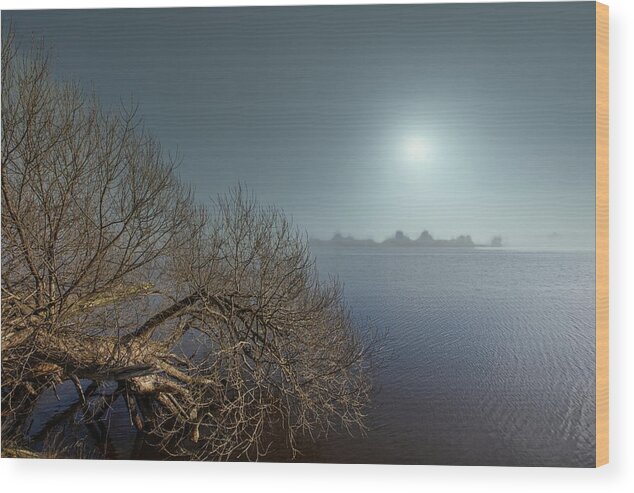Foggy Landscape Wood Print featuring the photograph Foggy Riverside Jurmala  by Aleksandrs Drozdovs