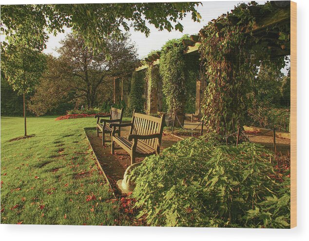 Boerner Botanical Gardens Wood Print featuring the photograph Golden Hour by Deb Beausoleil