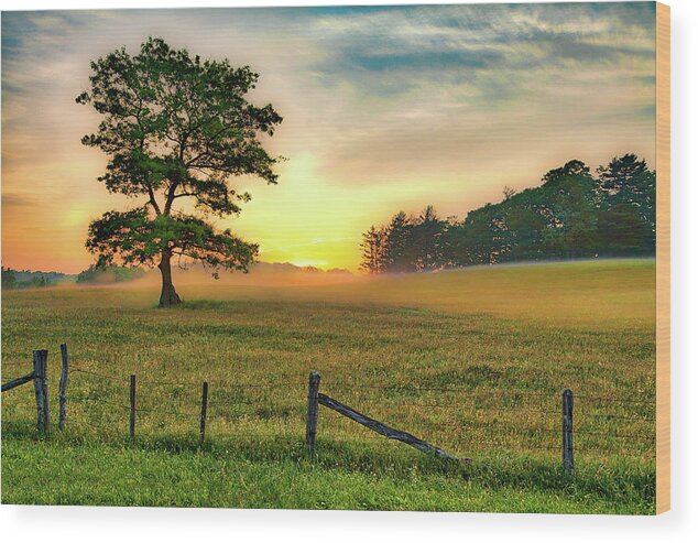 North Carolina Wood Print featuring the photograph Ground Fog Sunrise by Dan Carmichael
