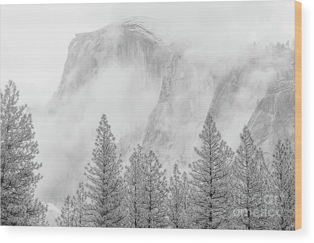 Yosemite Wood Print featuring the photograph Half Dome Fogged In by Sharon Seaward