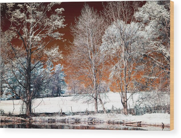 Infrared Trees Along The Pond Wood Print featuring the photograph Infrared Trees Along the Pond in New Jersey by John Rizzuto