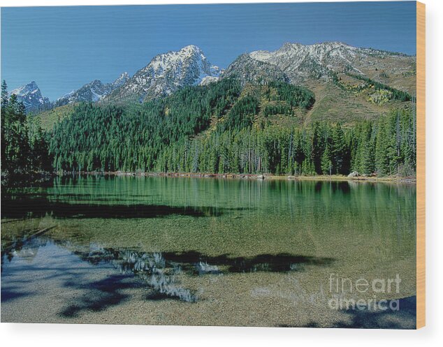 Dave Welling Wood Print featuring the photograph Leigh Lake Grand Tetons National Park Wyoming by Dave Welling