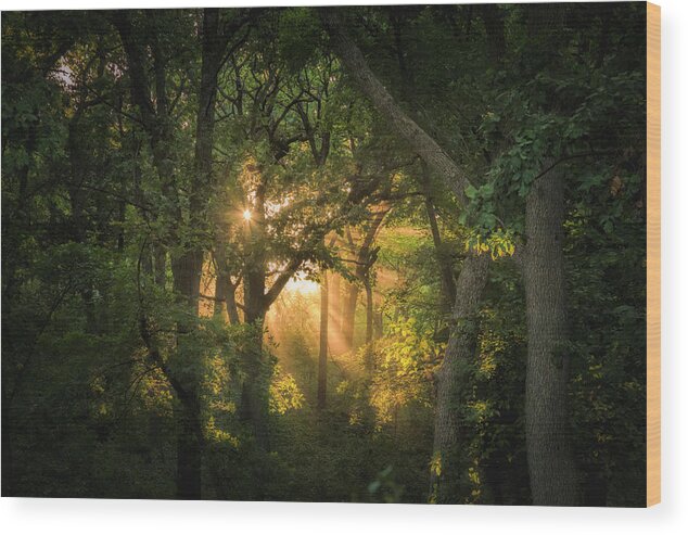 Energy Wood Print featuring the photograph Magic Moment by Scott Bean