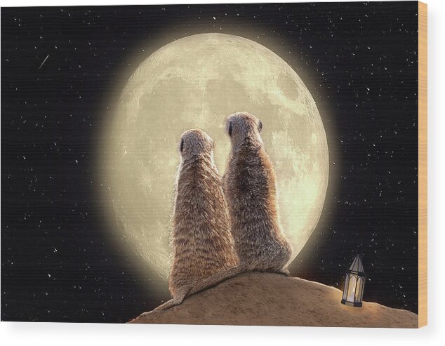 Meerkat Wood Print featuring the digital art Meerkat Moon by Nicole Wilde