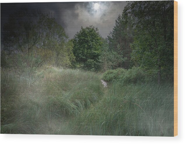 Misty Wood Print featuring the photograph Misty River In The Latvian Countryside by Aleksandrs Drozdovs