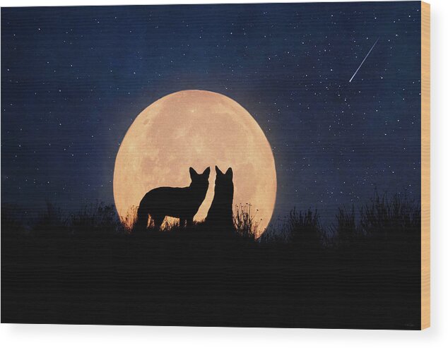 Coyote Wood Print featuring the digital art Moonrise by Nicole Wilde