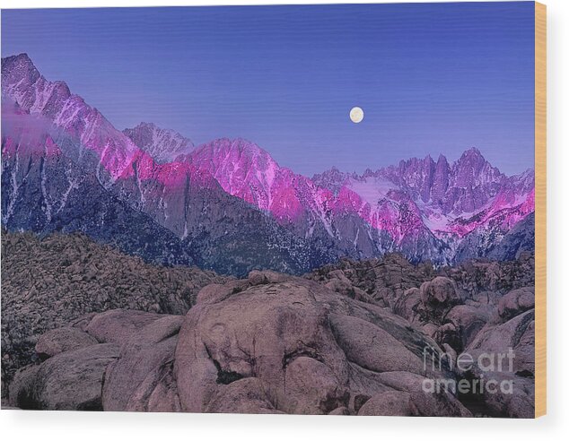 Moon Wood Print featuring the photograph Moonset At Dawn Eastern Sierras Alabama Hills California by Dave Welling