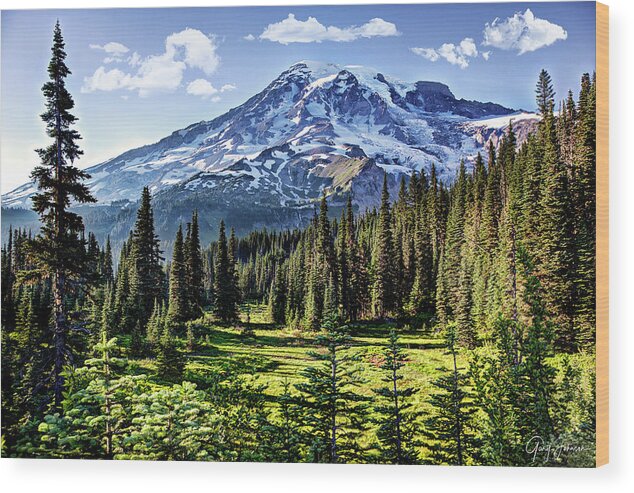 Mt-rainer Wood Print featuring the photograph Mt. Rainer by Gary Johnson