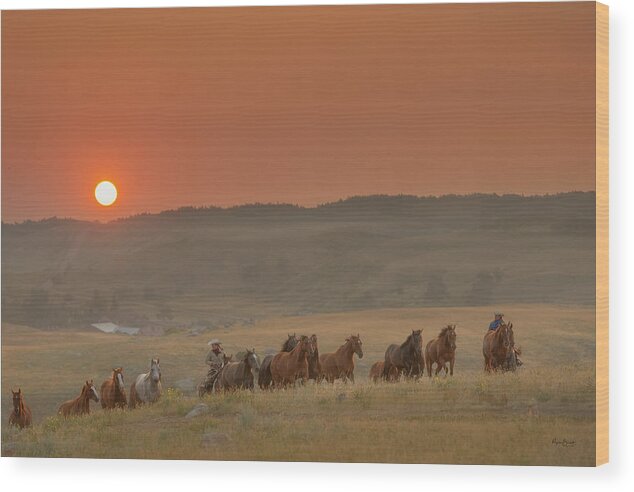 New Wood Print featuring the photograph New Day by Phyllis Burchett