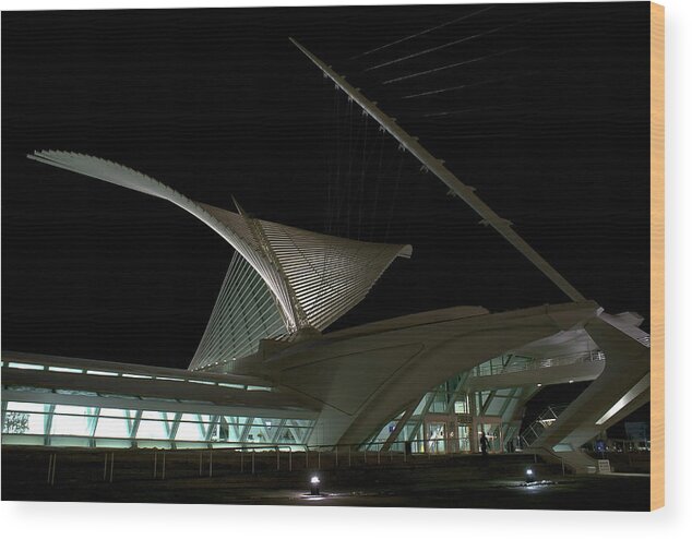 Burke Brise Soleil Wood Print featuring the photograph Night Side at the MAM by Deb Beausoleil