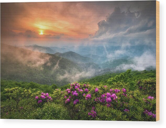 North Carolina Nc Blue Ridge Parkway Spring Flowers Appalachian Mountains Spring Flowers Craggy Gardens Asheville Western Nc Rhododendron Sunset Fog Clouds Dave Allen Landscape Photography Fine Art Smoky Mountains Blue Ridge Mountains Horizontal Sunrise Mountains Outdoor Nature Usa America Pink Purple Wood Print featuring the photograph North Carolina Blue Ridge Parkway Spring Appalachian Mountains NC by Dave Allen
