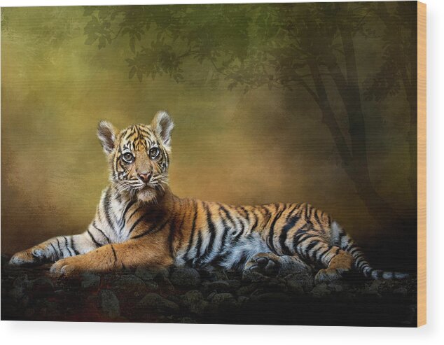 Tiger Wood Print featuring the digital art Practicing My Big Kitty Stare by Nicole Wilde
