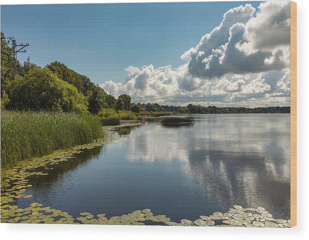Riverside Wood Print featuring the photograph River beauty in Jurmala Latvia by Aleksandrs Drozdovs