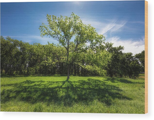 Blue Sky Wood Print featuring the photograph Shadows And Shade by Scott Bean
