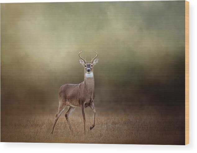Deer Wood Print featuring the photograph Stepping Out by Jai Johnson