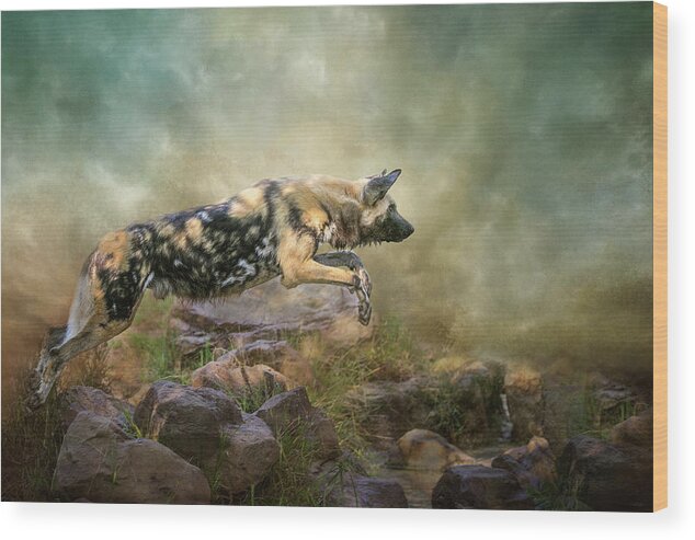 African Wild Dog Wood Print featuring the digital art The Leap by Nicole Wilde