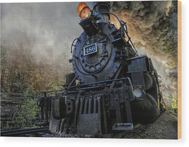 Durango & Silverton Wood Print featuring the photograph Too Close For Comfort by Donna Kennedy