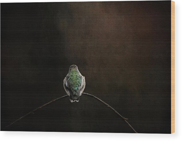 Hummingbird Wood Print featuring the photograph Waiting On Daylight by Jai Johnson