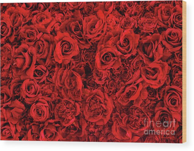 Roses Wood Print featuring the photograph Wall Of Roses by Blake Richards