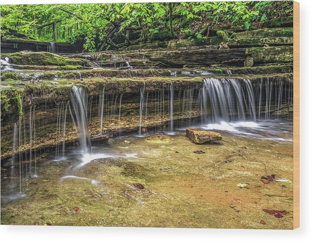 Raven Run Wood Print featuring the photograph Watersource by Ed Newell