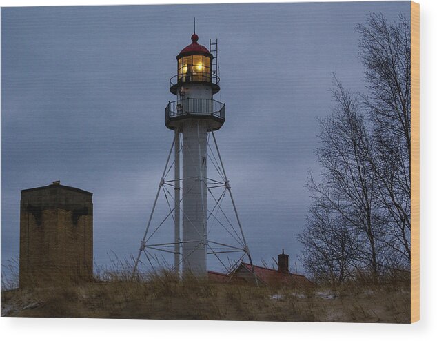 Lake Superior Wood Print featuring the photograph Whitefish Point Landscape by Deb Beausoleil