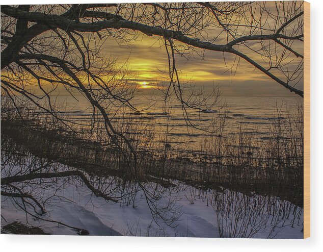 Lake Michigan Wood Print featuring the photograph Winter Sunrise Through the Branches by Deb Beausoleil
