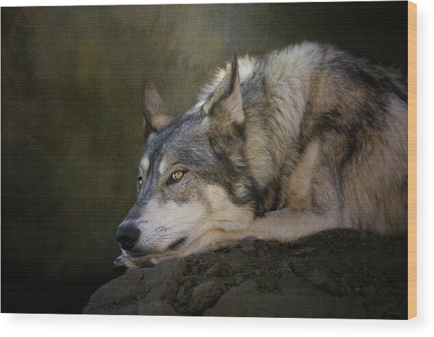Wolf Wood Print featuring the digital art Wolf Watch by Nicole Wilde