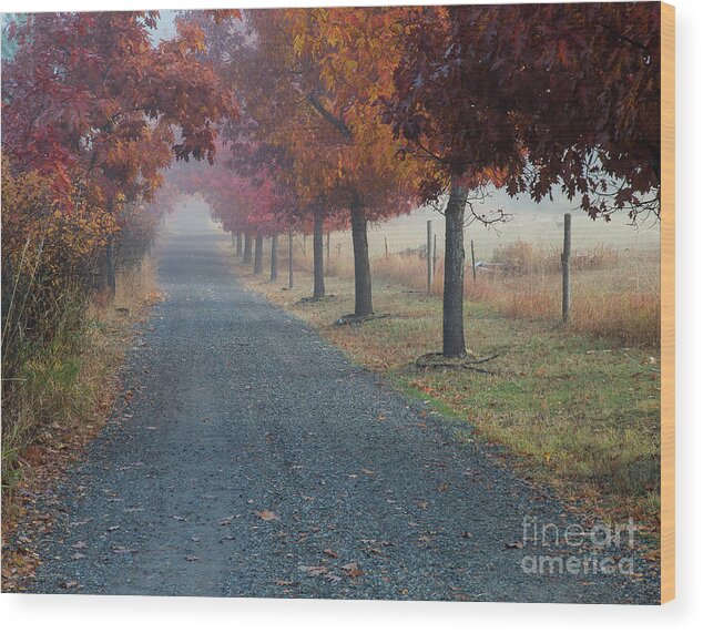 Coeur D'alene Wood Print featuring the photograph Autumn Portal by Idaho Scenic Images Linda Lantzy