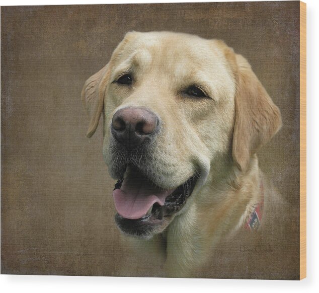 Dog Art Wood Print featuring the photograph Cosmo by Diane Chandler