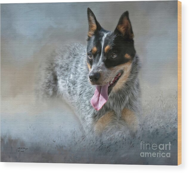 Dogs Wood Print featuring the mixed media Cookie - A Blue Heeler by DB Hayes