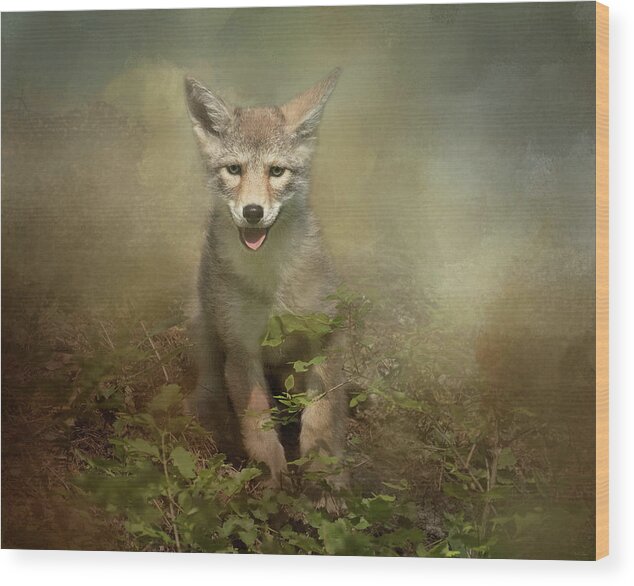 Coyote Wood Print featuring the digital art The Littlest Pack Member by Nicole Wilde