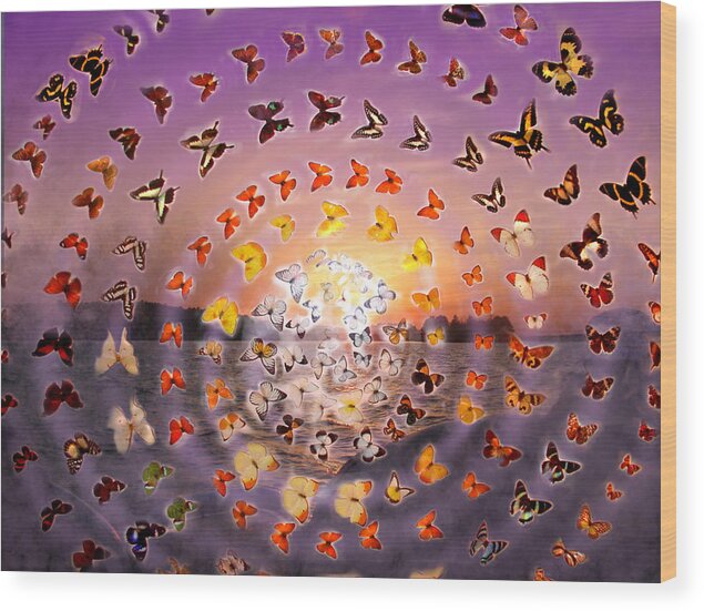 Butterfly Wood Print featuring the photograph Butterfly Sunset by Anne Cameron Cutri