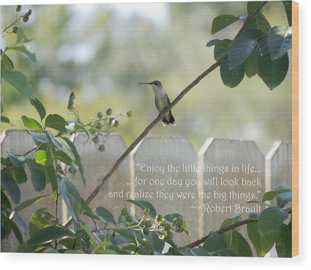 Hummingbird Wood Print featuring the photograph Hummingbird on Crepe Myrtle by Jayne Wilson