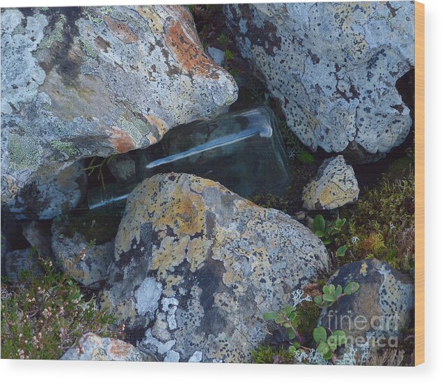 Rocks Wood Print featuring the photograph Lichen Rocks and Bottle by Phil Banks
