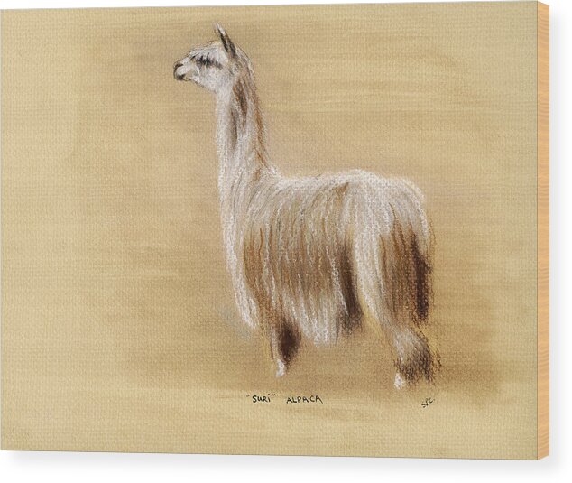 Alpaca Wood Print featuring the pastel Suri Alpaca by Sara Cuthbert