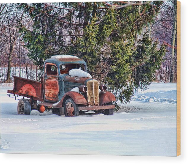 Truck Wood Print featuring the photograph Stuck by Mary Timman