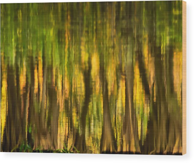 Carol Eade Wood Print featuring the photograph Everglades Reflections by Carol Eade