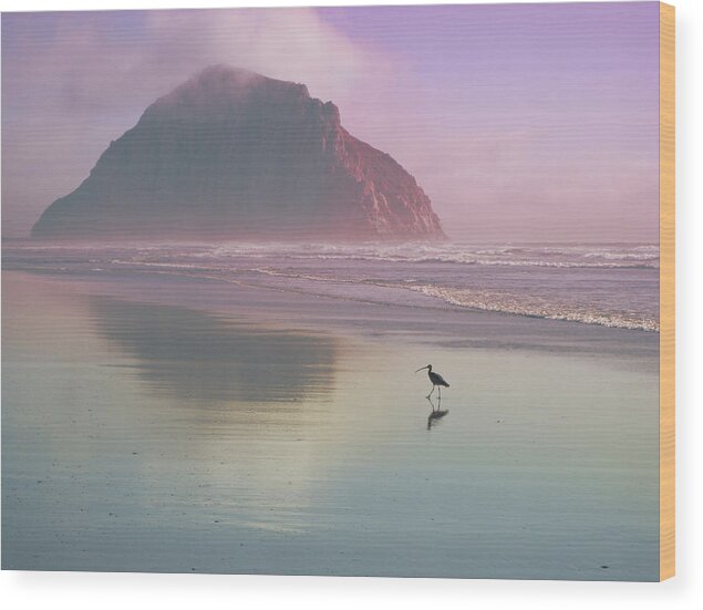 Morro Wood Print featuring the photograph Morro Rock by Kevin Bergen