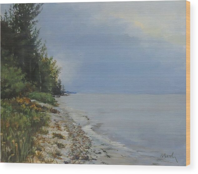 Lake Huron Wood Print featuring the painting Places We've Been by William Brody