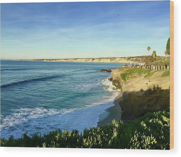 La Wood Print featuring the photograph La Jolla Cove, Sandiego by Bnte Creations