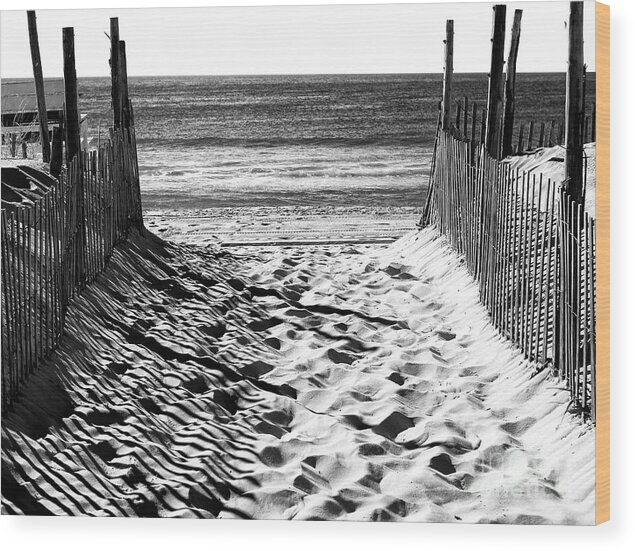 Beach Entry Wood Print featuring the photograph Beach Entry Black and White Long Beach Island by John Rizzuto